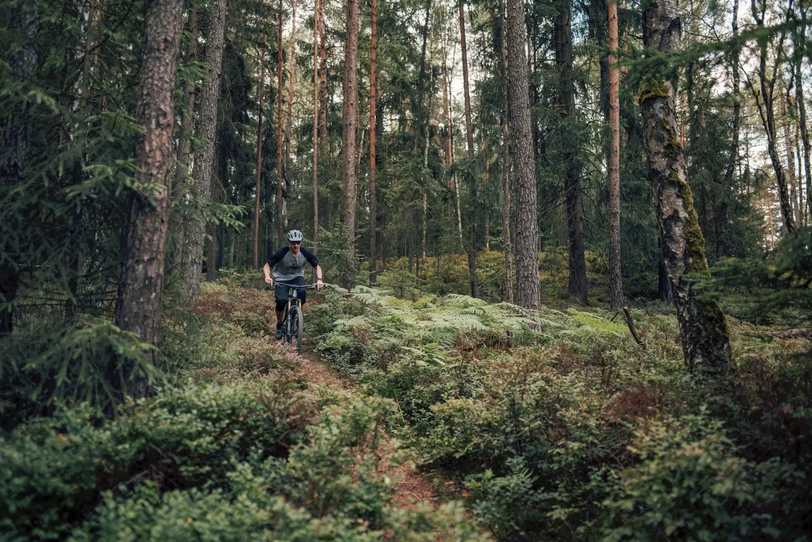 E-Bike auf einer Straße – Fahrradleasing bei AuFa